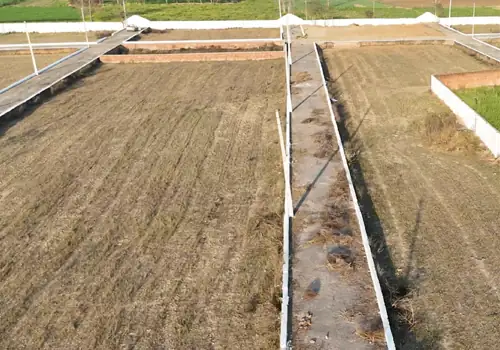 Buddha Enclave Review